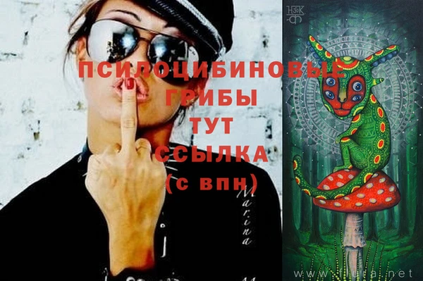 прущая мука Белокуриха