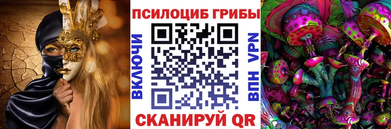 Купить закладки  Волгореченск  Псилоцибиновые грибы Psilocybine cubensis 